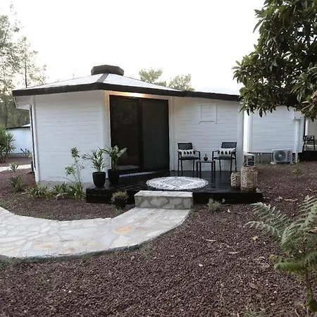 Hotel Nature Village Olympos 2*