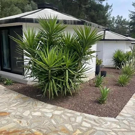 Nature Village Olympos 2*